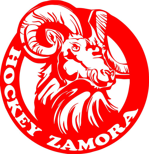 hockey